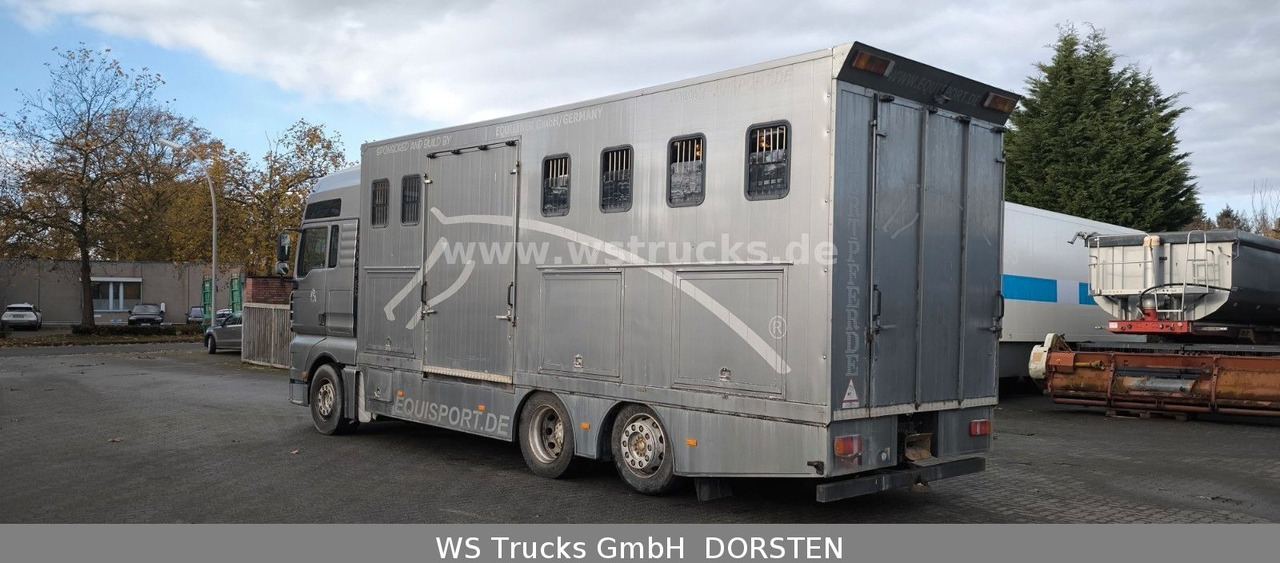 MAN TGA 26.480 FG 6x2 Pferdetransporter Luft/Luft - Horse truck: picture 5 MAN TGA 26.480 FG 6x2 Pferdetransporter Luft/Luft - Horse truck: picture 5