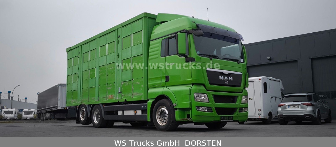 MAN TGX 26.480 XL KABA 3 Stock Vollalu - Livestock truck: picture 4 MAN TGX 26.480 XL KABA 3 Stock Vollalu - Livestock truck: picture 4