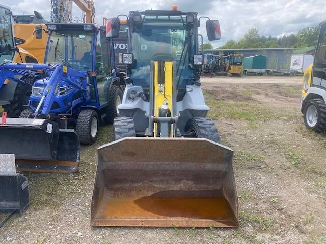 Kramer 5035 MIETE / RENTAL (12001692) - Wheel loader: picture 2 Kramer 5035 MIETE / RENTAL (12001692) - Wheel loader: picture 2