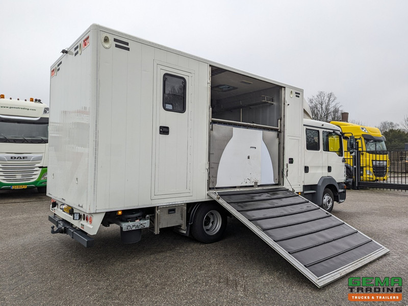 Horse truck MAN TGL 12.180 4x2 DoKa 7 pers. Euro5 EEV - Paardenwagen 2-Paards - 147.000km! - MARGE: picture 16