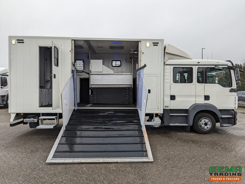 Horse truck MAN TGL 12.180 4x2 DoKa 7 pers. Euro5 EEV - Paardenwagen 2-Paards - 147.000km! - MARGE: picture 9