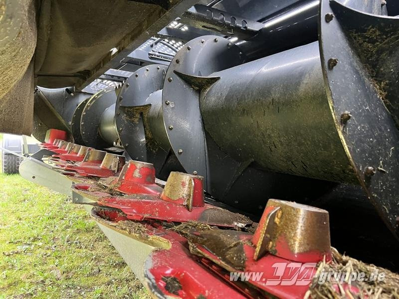 Capello Spartan 610 - Mower: picture 3 Capello Spartan 610 - Mower: picture 3