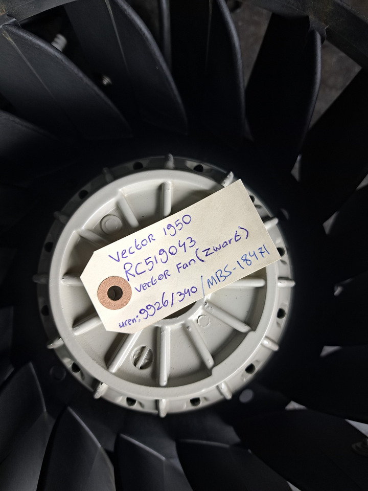 Vector Fan - Fan: picture 5 Vector Fan - Fan: picture 5