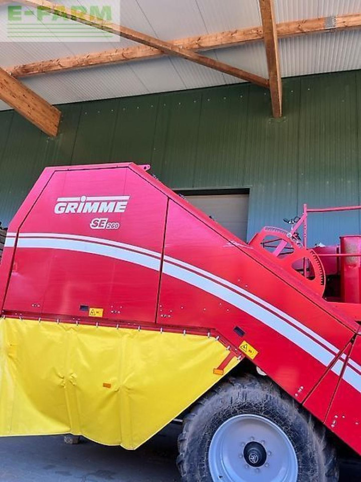 Potato harvester Grimme se260: picture 22