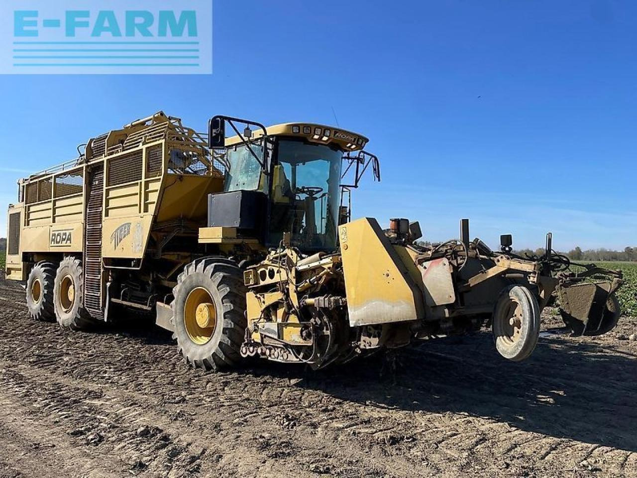 Ropa euro tiger - Beet harvester: picture 1 Ropa euro tiger - Beet harvester: picture 1