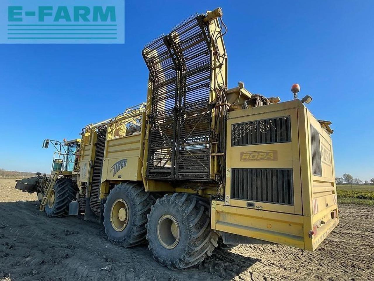 Ropa euro tiger - Beet harvester: picture 3 Ropa euro tiger - Beet harvester: picture 3