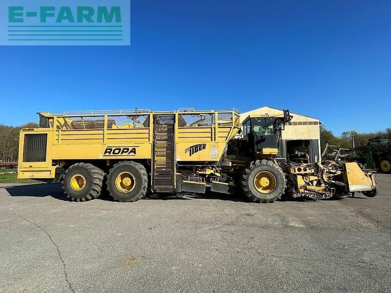Ropa euro tiger - Beet harvester: picture 1 Ropa euro tiger - Beet harvester: picture 1
