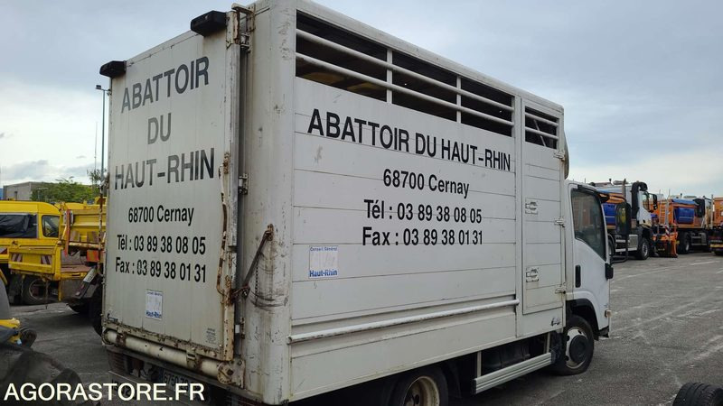 Bétaillère abattoir ISUZU - 2008 - Livestock truck: picture 3 Bétaillère abattoir ISUZU - 2008 - Livestock truck: picture 3
