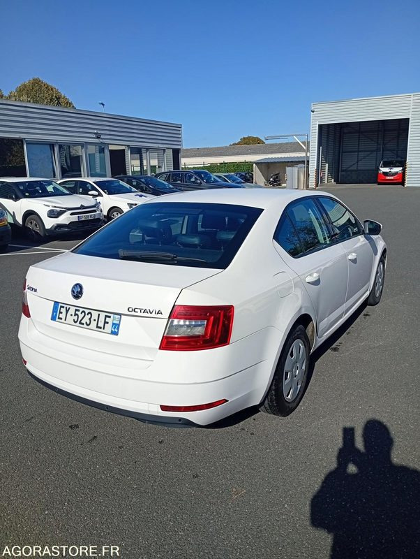 EY-523-LF - Roulant - SKODA OCTAVIA - VP - 384 000 Kms - Car: picture 3 EY-523-LF - Roulant - SKODA OCTAVIA - VP - 384 000 Kms - Car: picture 3