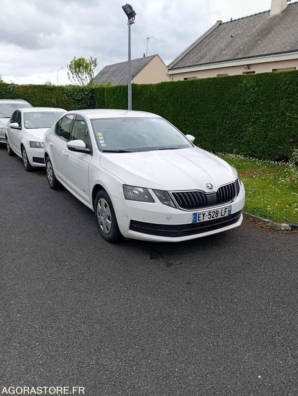 EY-528-LF - Roulant - SKODA OCTAVIA - VP - 421 000 Kms - Car: picture 2 EY-528-LF - Roulant - SKODA OCTAVIA - VP - 421 000 Kms - Car: picture 2