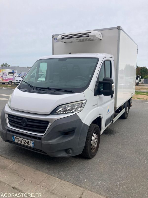 FRIGORIFIQUE FIAT DUCATO - Refrigerated van: picture 1 FRIGORIFIQUE FIAT DUCATO - Refrigerated van: picture 1