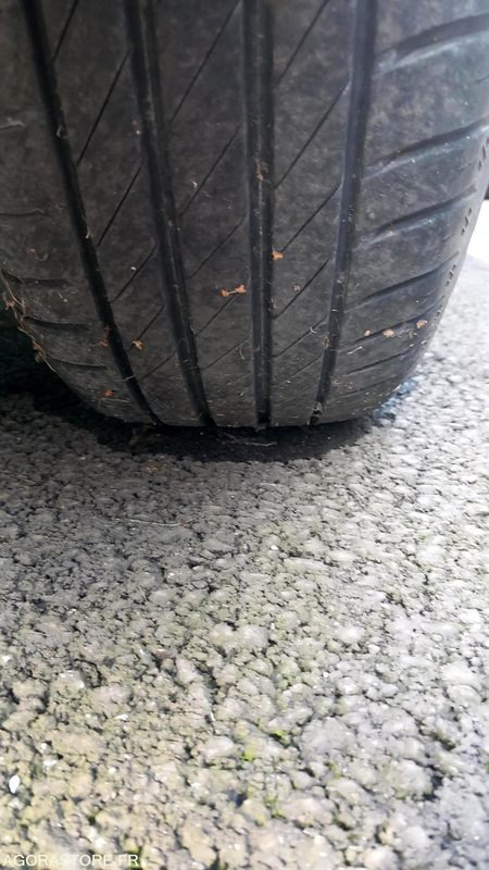 Renault Clio - Car: picture 5 Renault Clio - Car: picture 5