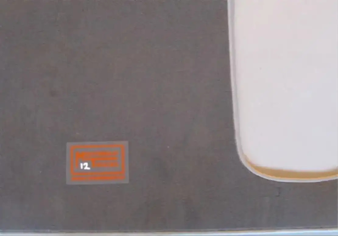 MAN Vloermat TGA / TGX - Cab and interior for Truck: picture 1 MAN Vloermat TGA / TGX - Cab and interior for Truck: picture 1