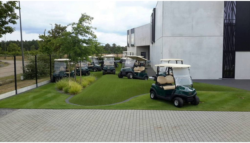 Golf cart Club Car tempo lithuim 2021 lithuim: picture 1