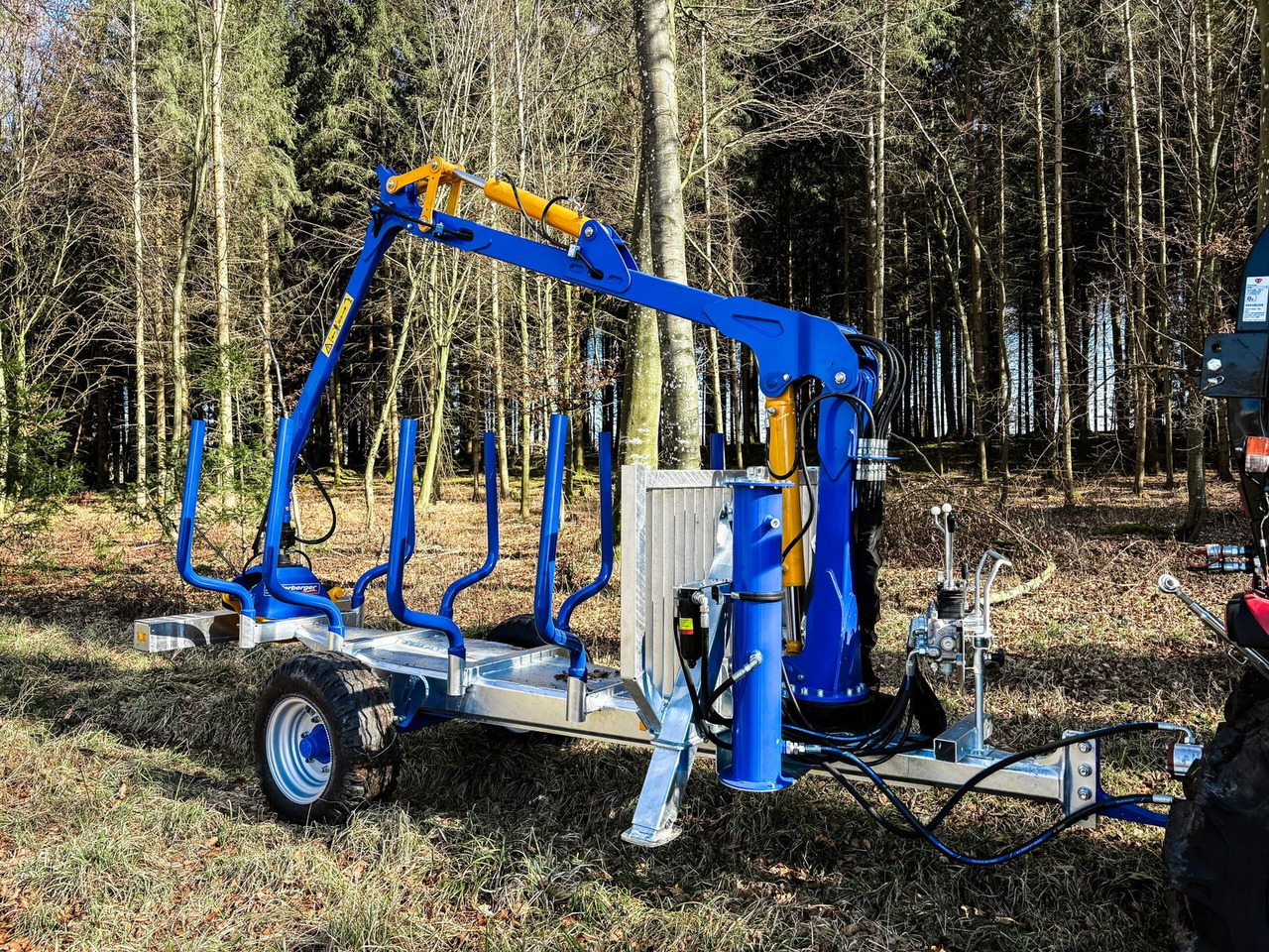 Binderberger Alpin 3t Holzrückewagen - Forestry trailer: picture 1 Binderberger Alpin 3t Holzrückewagen - Forestry trailer: picture 1