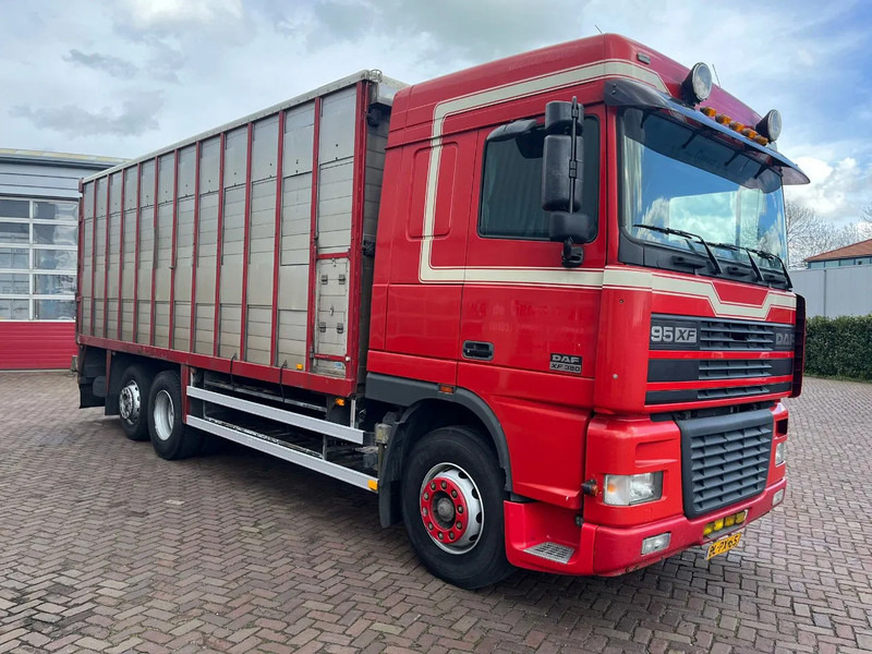 DAF XF FAR 95XF.380 EURO 2 - Livestock truck: picture 3 DAF XF FAR 95XF.380 EURO 2 - Livestock truck: picture 3