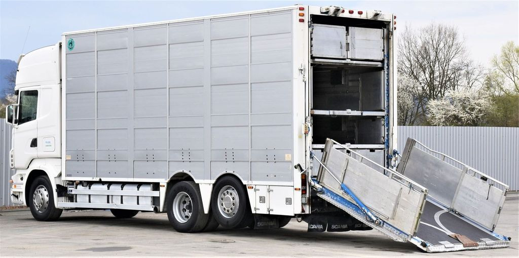 Lease a Scania R 500 TIERTRANSPORTWAGEN 7,10m / 4STOCK  Scania R 500 TIERTRANSPORTWAGEN 7,10m / 4STOCK: picture 7