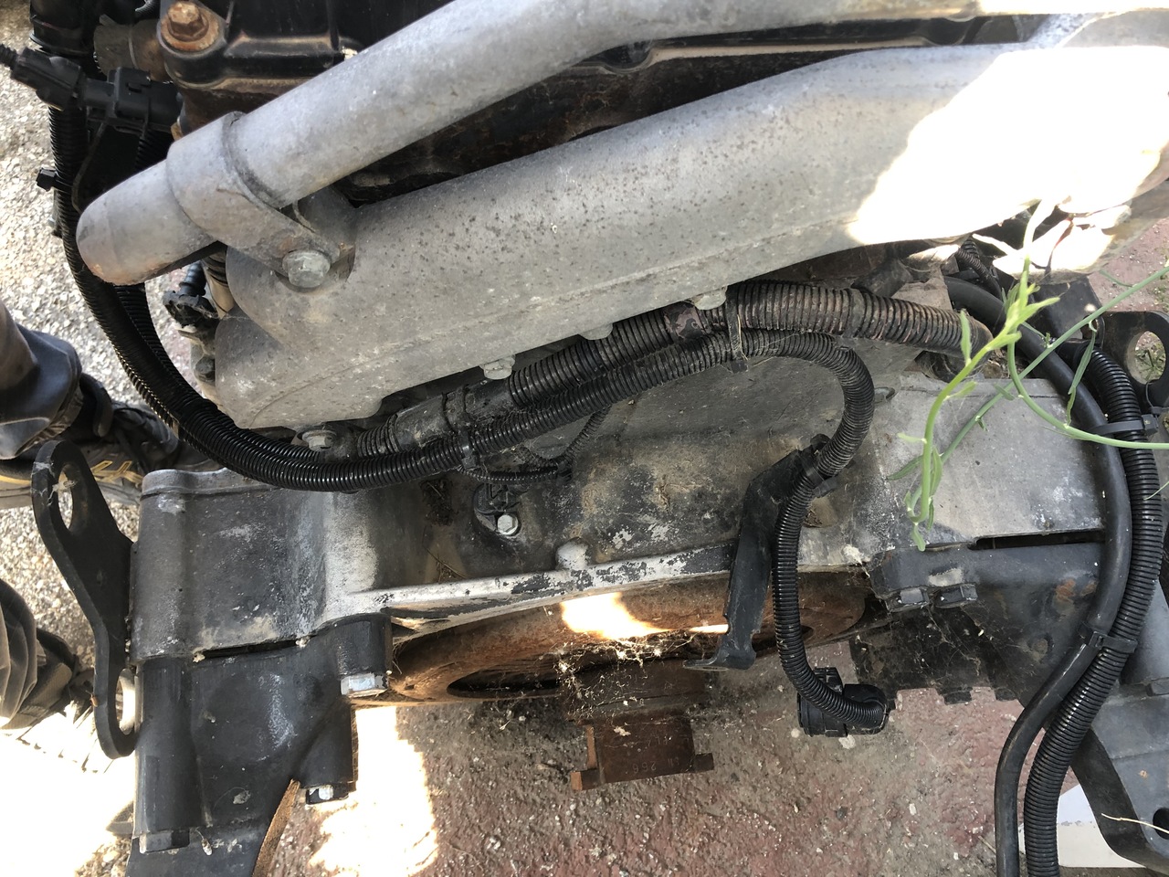 MAN TGA D2066 LF02 430HP EURO 3 COMMON RAIL - Engine for Truck: picture 5 MAN TGA D2066 LF02 430HP EURO 3 COMMON RAIL - Engine for Truck: picture 5