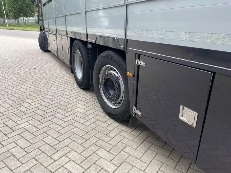 Livestock truck DAF XF 460 - Animal transporter: picture 14 Livestock truck DAF XF 460 - Animal transporter: picture 14