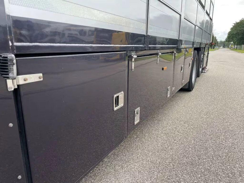 Livestock truck DAF XF 460 - Animal transporter: picture 15 Livestock truck DAF XF 460 - Animal transporter: picture 15