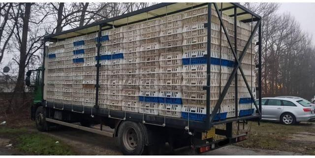 Iveco Eurocargo 180E28 - Livestock truck: picture 3 Iveco Eurocargo 180E28 - Livestock truck: picture 3