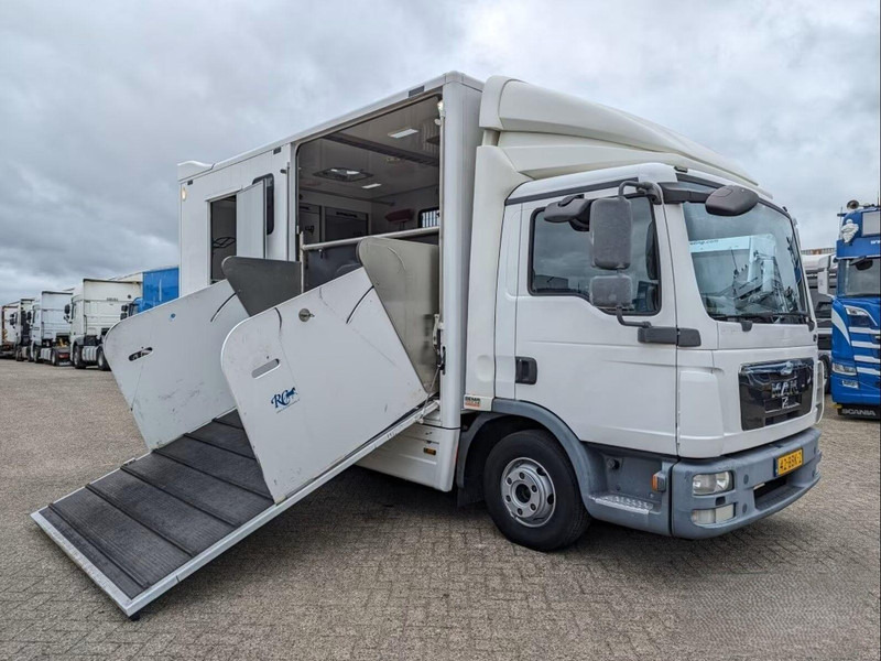 MAN TGL 12.250 - Horse transporter - Horse truck: picture 2 MAN TGL 12.250 - Horse transporter - Horse truck: picture 2