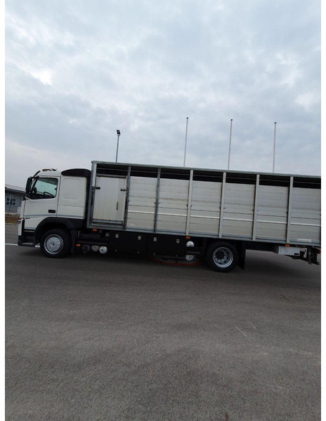 Volvo FM 500 Viehtransporter ( Rind / beef ) - Livestock truck: picture 5 Volvo FM 500 Viehtransporter ( Rind / beef ) - Livestock truck: picture 5