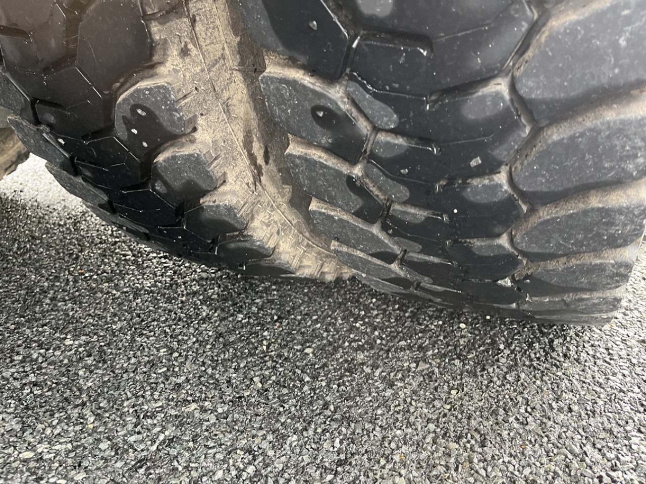 Horse truck DAF CF410: picture 8