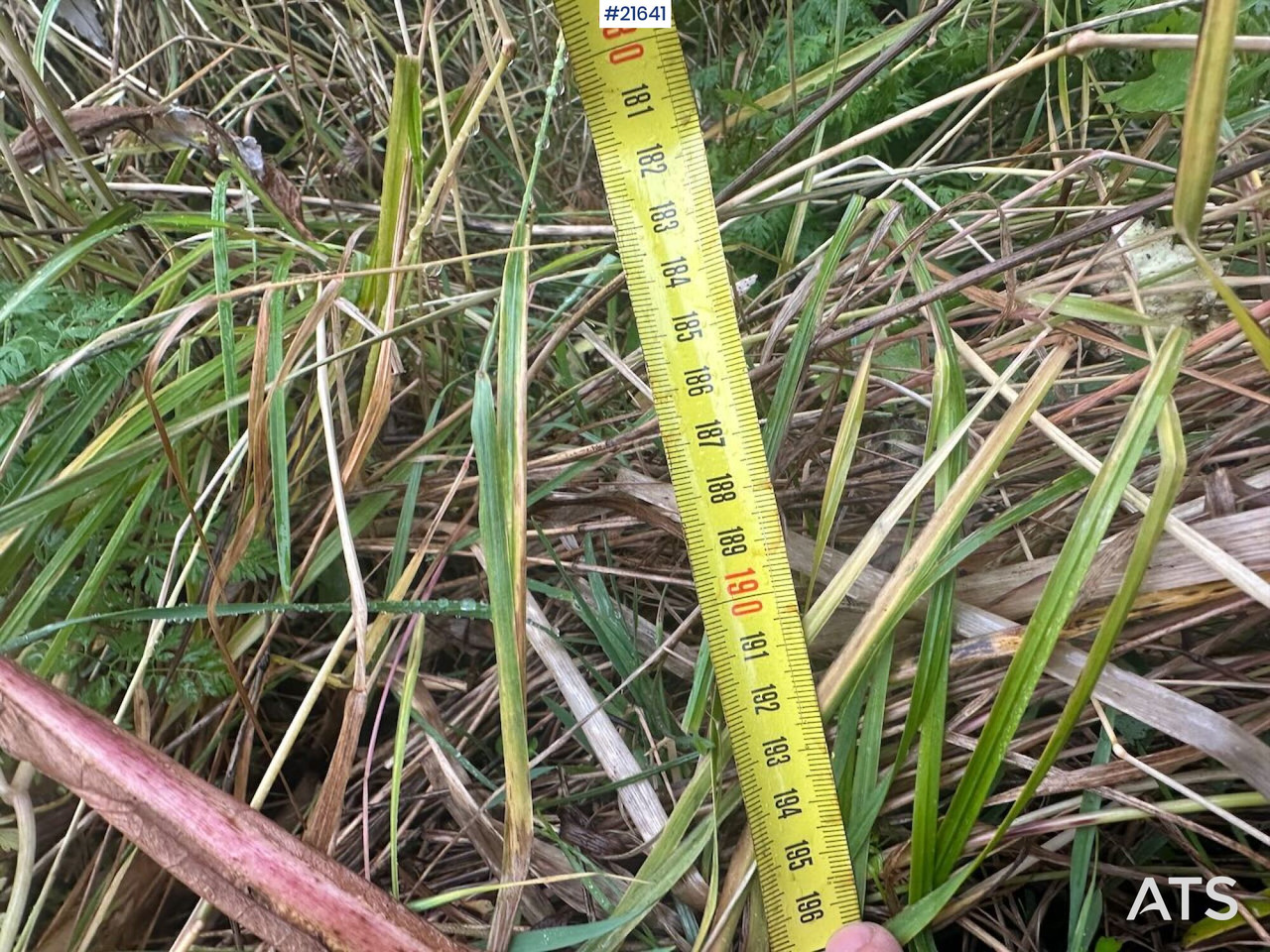 Snow plough Gmill 2001 Gmill HDA 265 plog: picture 11 Snow plough Gmill 2001 Gmill HDA 265 plog: picture 11