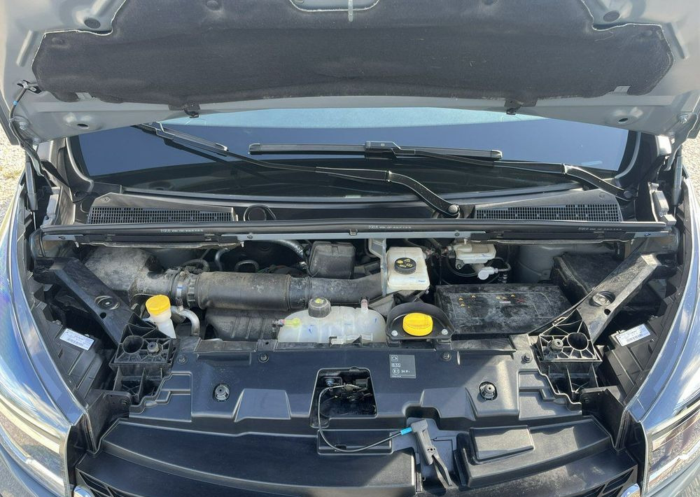 Minibus, Passenger van Renault Trafic: picture 22