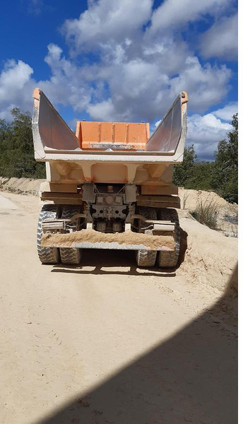 Mercedes-Benz Arocs - Garden tiller: picture 1 Mercedes-Benz Arocs - Garden tiller: picture 1