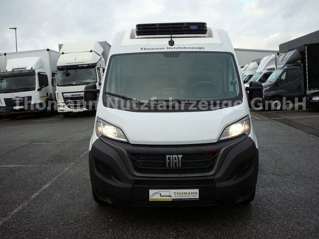 Fiat Ducato Kühlkasten L4/H2 Carrier Xarios 300GH Fiat Ducato Kühlkasten L4/H2 Carrier Xarios 300GH - Refrigerated van: picture 2 Fiat Ducato Kühlkasten L4/H2 Carrier Xarios 300GH Fiat Ducato Kühlkasten L4/H2 Carrier Xarios 300GH - Refrigerated van: picture 2