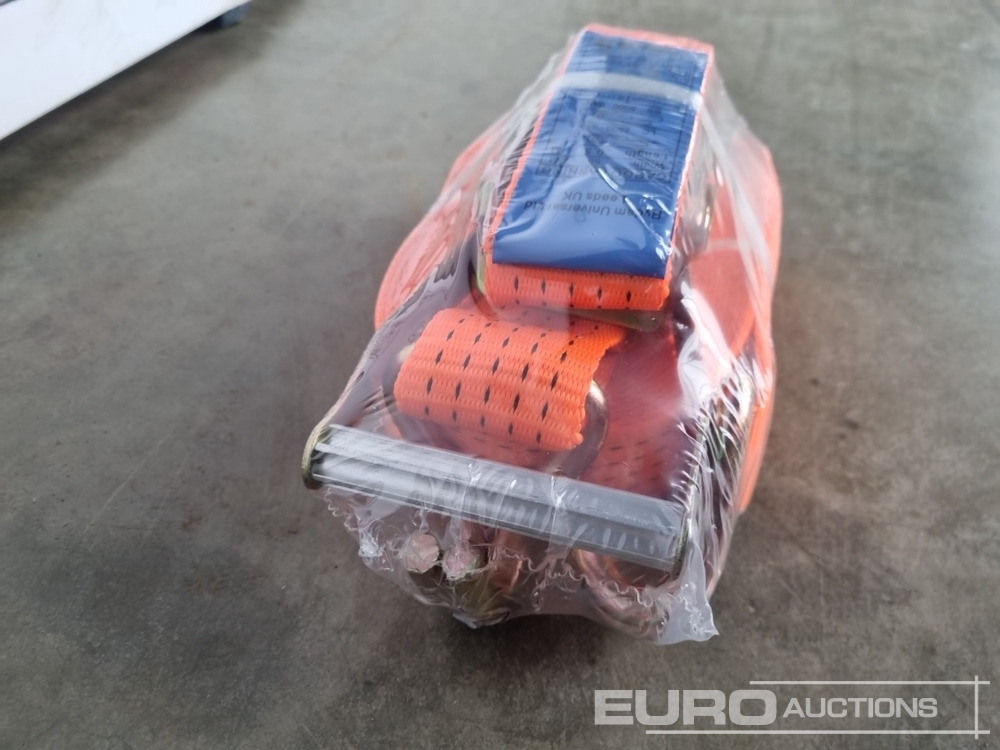 Agricultural machinery Unused Boss 10M 5T Ratchet Strap (10 of): picture 10
