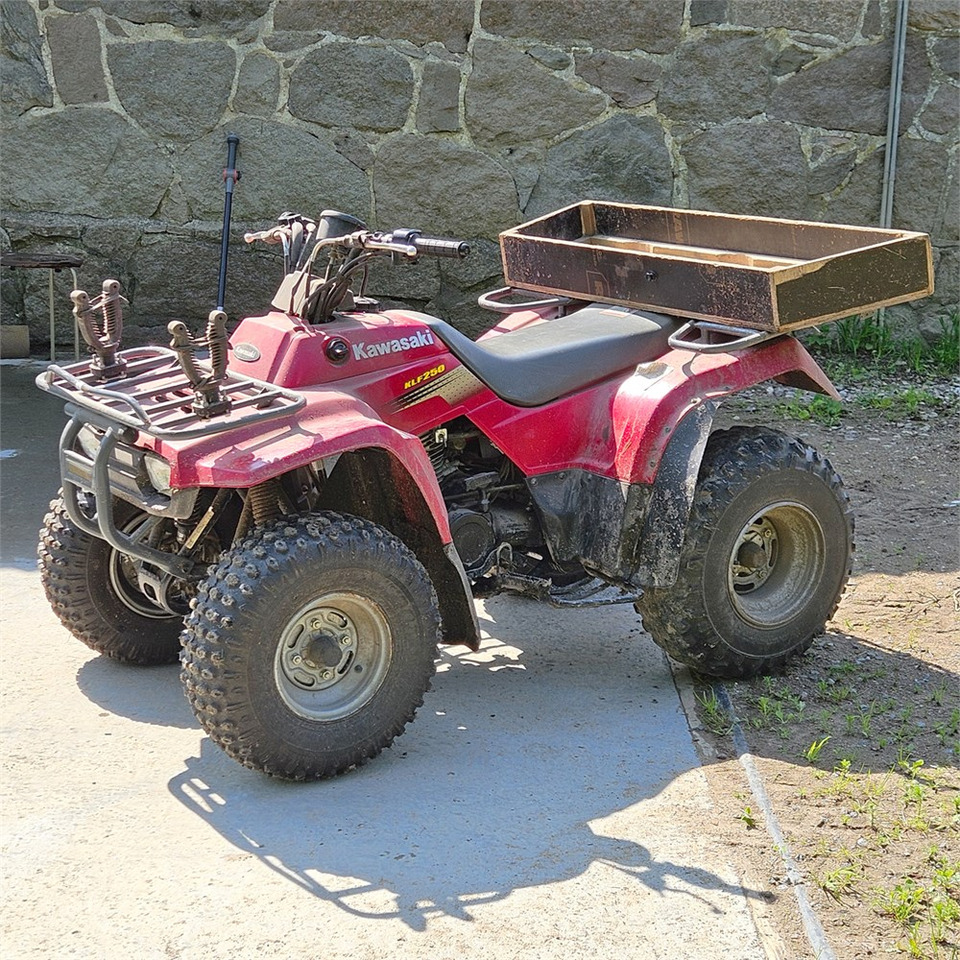 Kawasaki KLF 250 - Side-by-side/ ATV: picture 1 Kawasaki KLF 250 - Side-by-side/ ATV: picture 1