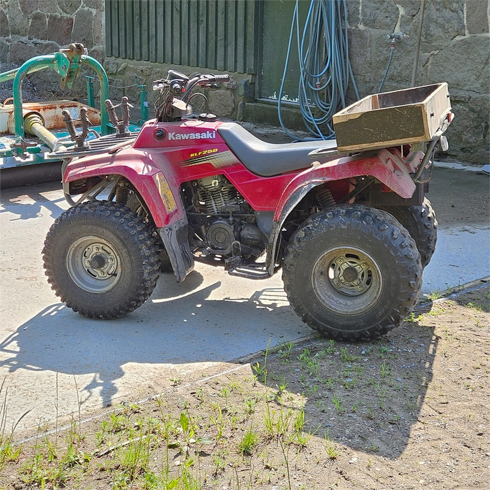 Kawasaki KLF 250 - Side-by-side/ ATV: picture 3 Kawasaki KLF 250 - Side-by-side/ ATV: picture 3