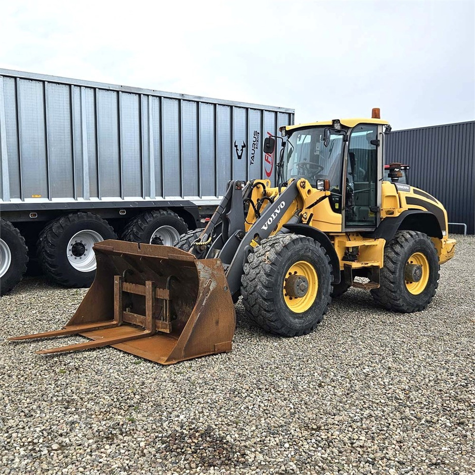 Wheel loader Volvo L45F-TP: picture 6