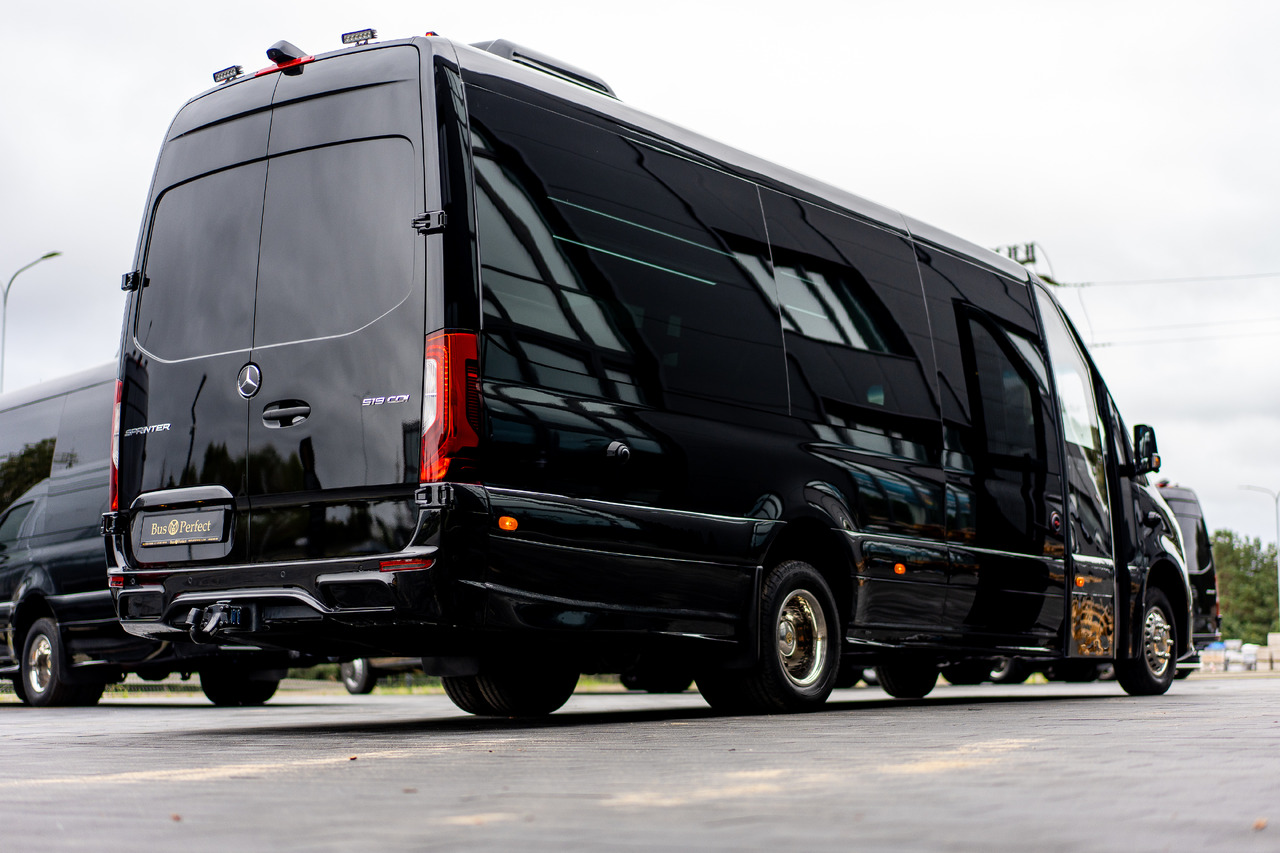 New Minibus, Passenger van MERCEDES-BENZ SPRINTER 519 CDI (MB BUSPERFECT): picture 6