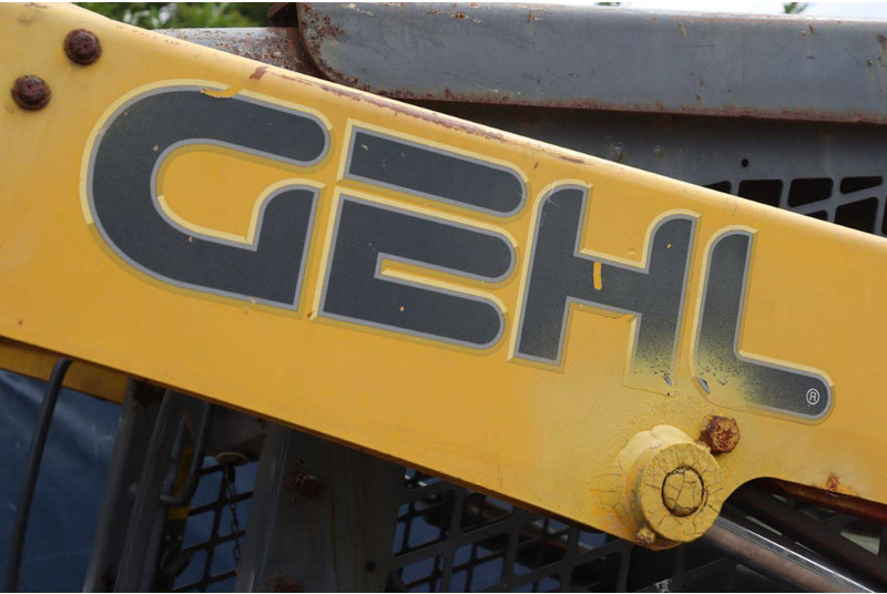 Wheel loader Gehl R260: picture 14