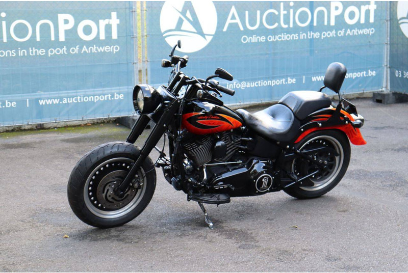 Motorcycle Harley-Davidson Fat Boy Low: picture 9