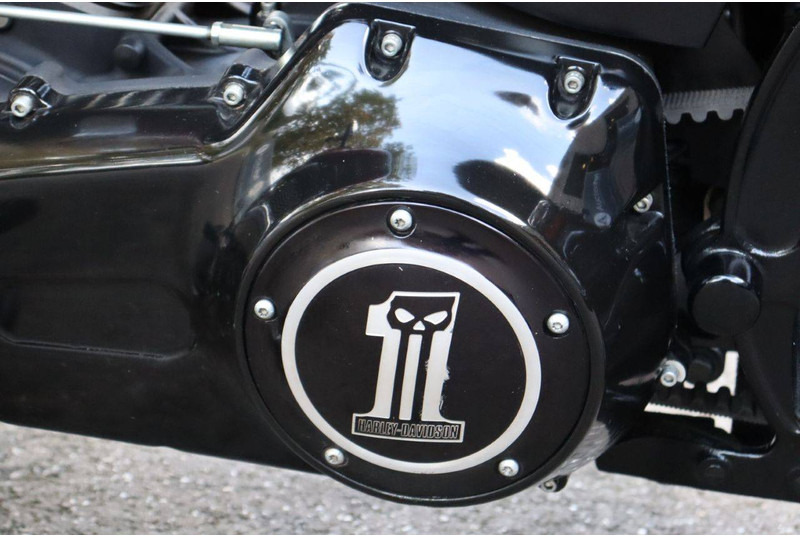 Motorcycle Harley-Davidson Fat Boy Low: picture 19