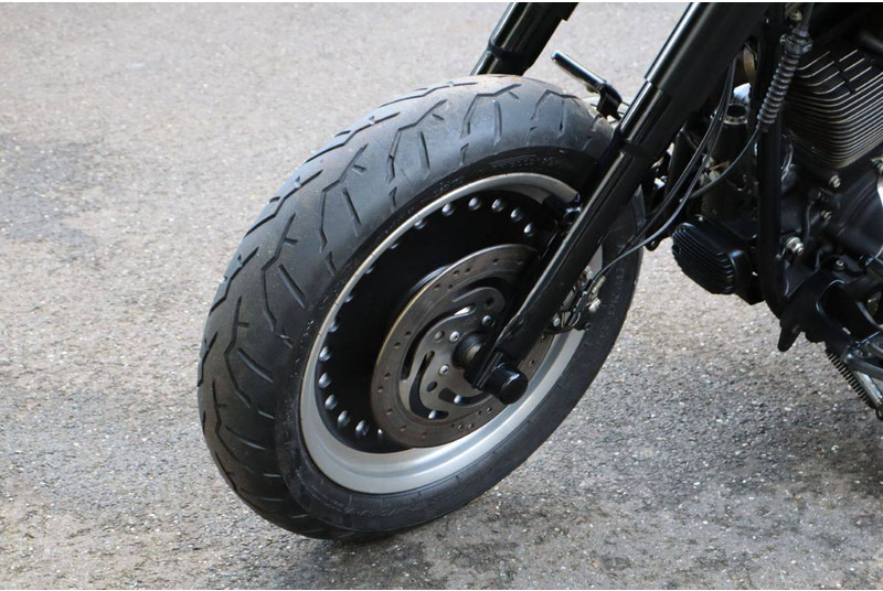 Motorcycle Harley-Davidson Fat Boy Low: picture 11