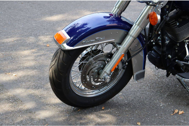 Motorcycle Harley-Davidson Heritage Softail Classic: picture 10