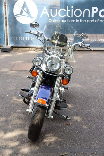 Motorcycle Harley-Davidson Heritage Softail Classic: picture 8