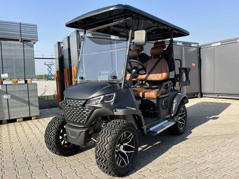 New Golf cart RTE: picture 9