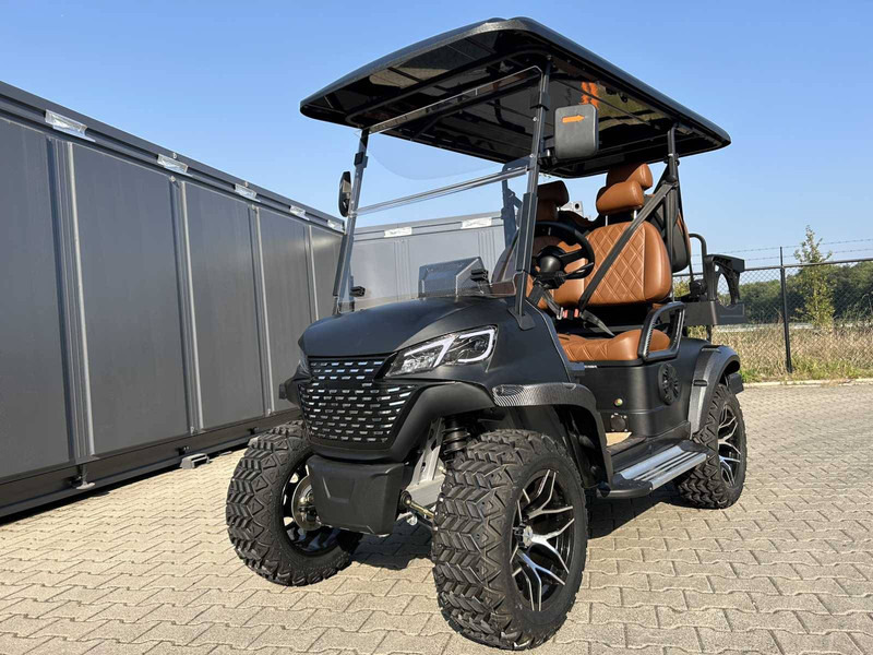 New Golf cart RTE: picture 20