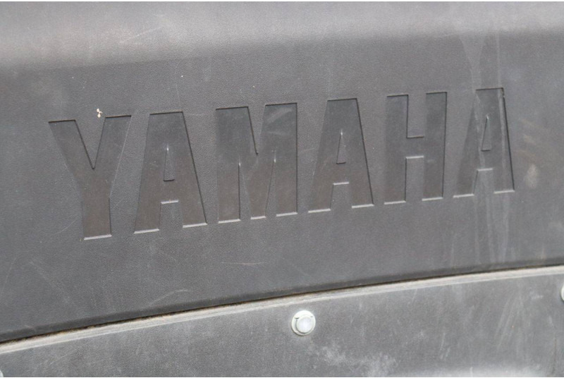 Golf cart Yamaha YDREX5: picture 15