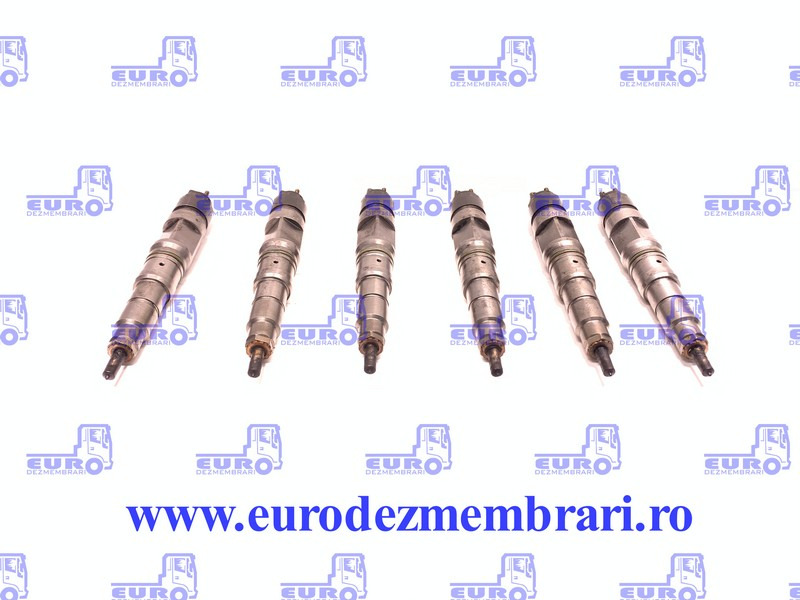 SET INJECTOARE MAN D20 51.10100.6048, 51.10100.6125 - Injector for Truck: picture 1 SET INJECTOARE MAN D20 51.10100.6048, 51.10100.6125 - Injector for Truck: picture 1